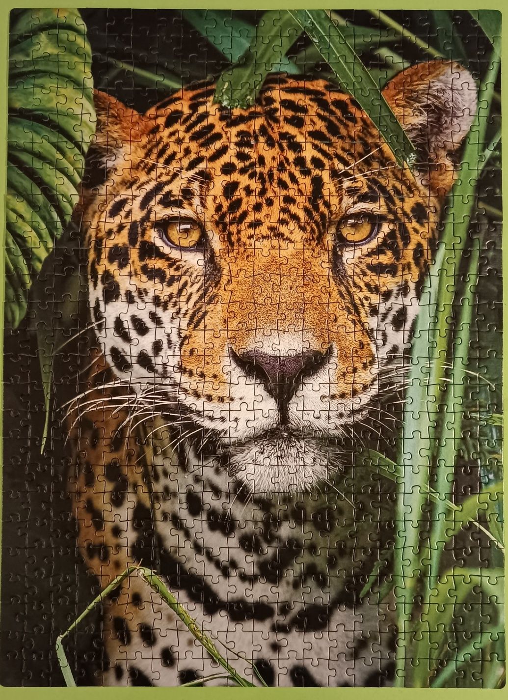 Puzzle 500 elem. Clementoni, Jaguar