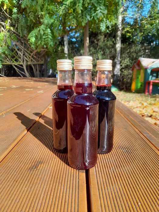 Syrop z pigwowca + czarnego bzu