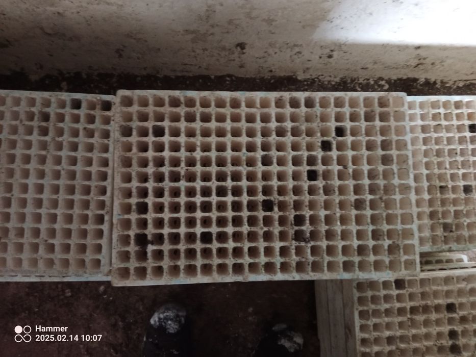 Paletki do rozsady 228 i 170 multiplaty do tytoniu