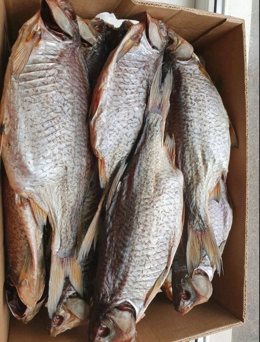 Тарань сушена з ікрою. Лящь Судак Окунь верховодка