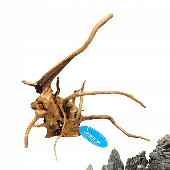 Korzeń Akwariowy - Red Moor - 28x26x18 cm Korzeń do akwarium DEKORACJA