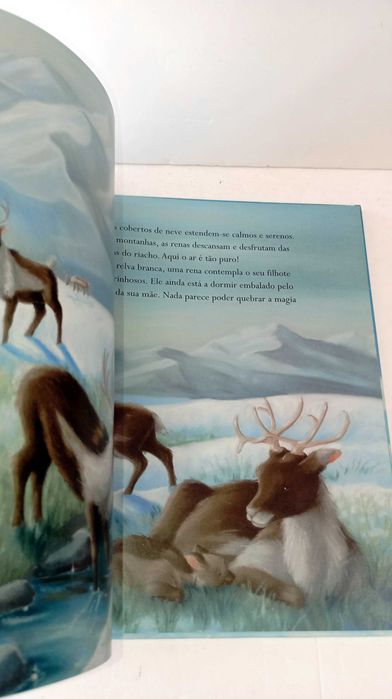 Onde a Neve Cai - Ed. Educação Naciona