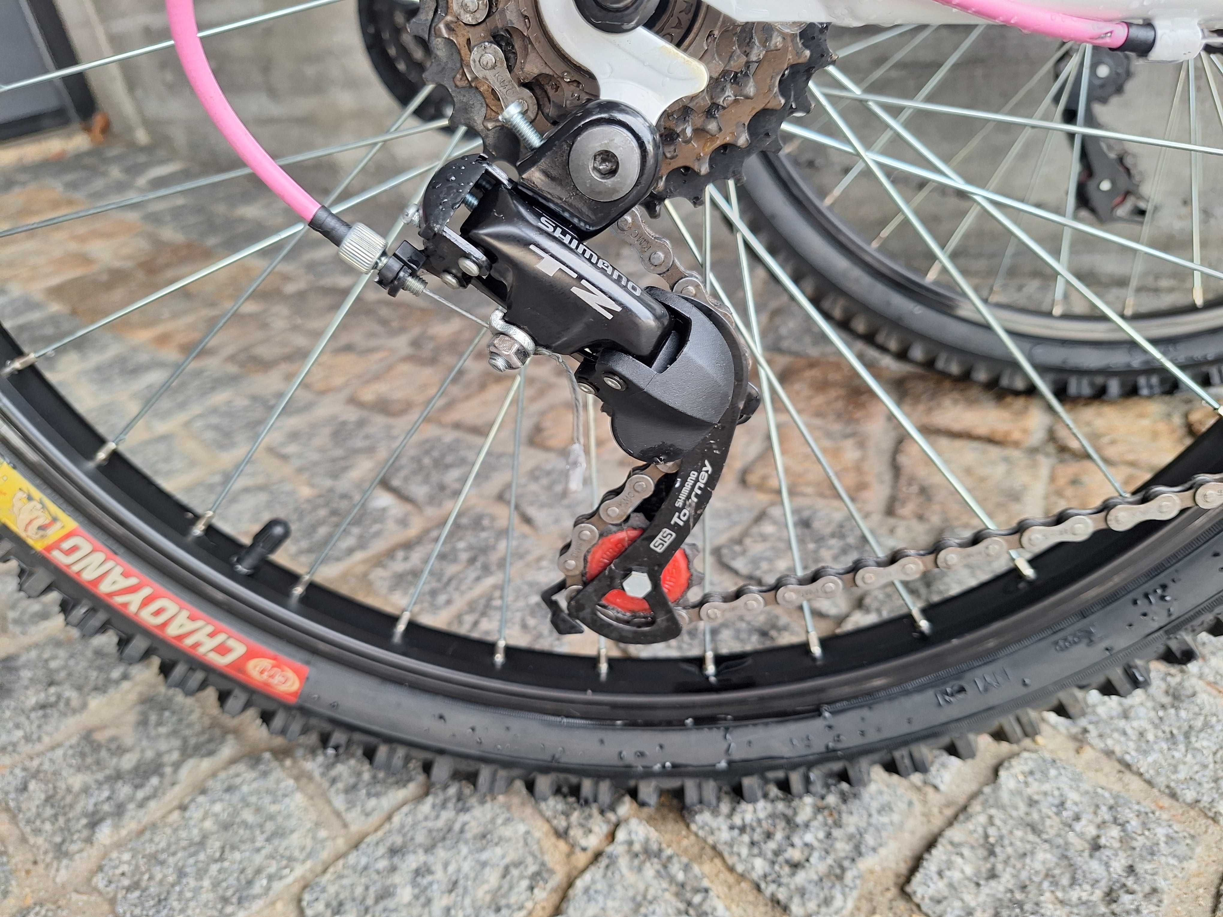 Bicicleta BERG Charm