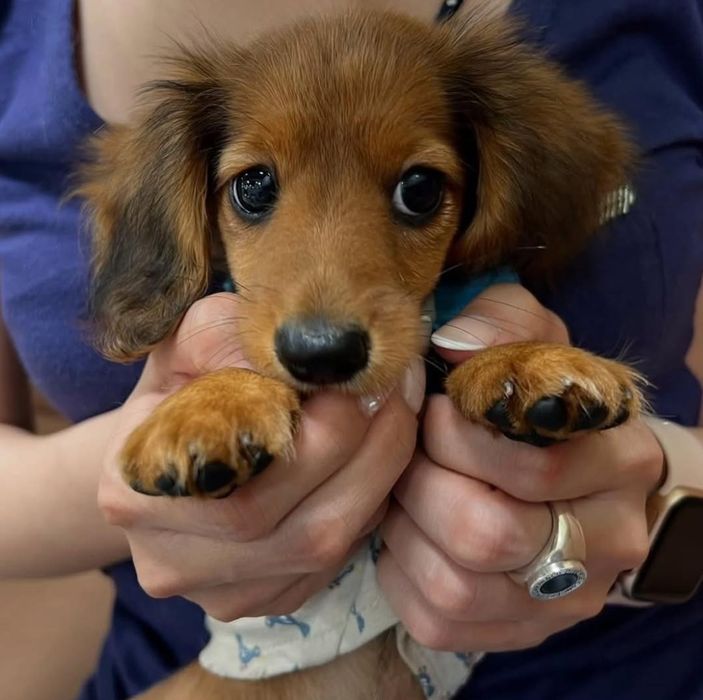 Дитина з хорошим люблячим характером.