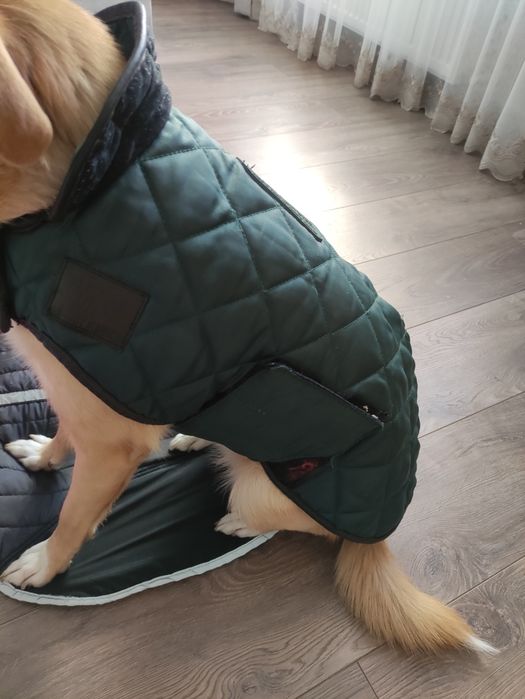 Рюкзак переноска ,Попона,обувь для собак ,жилет зимний