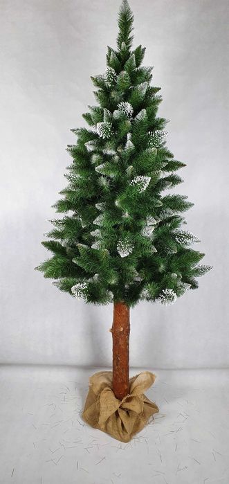 Choinka na pniu 220cm Sosna Rosa