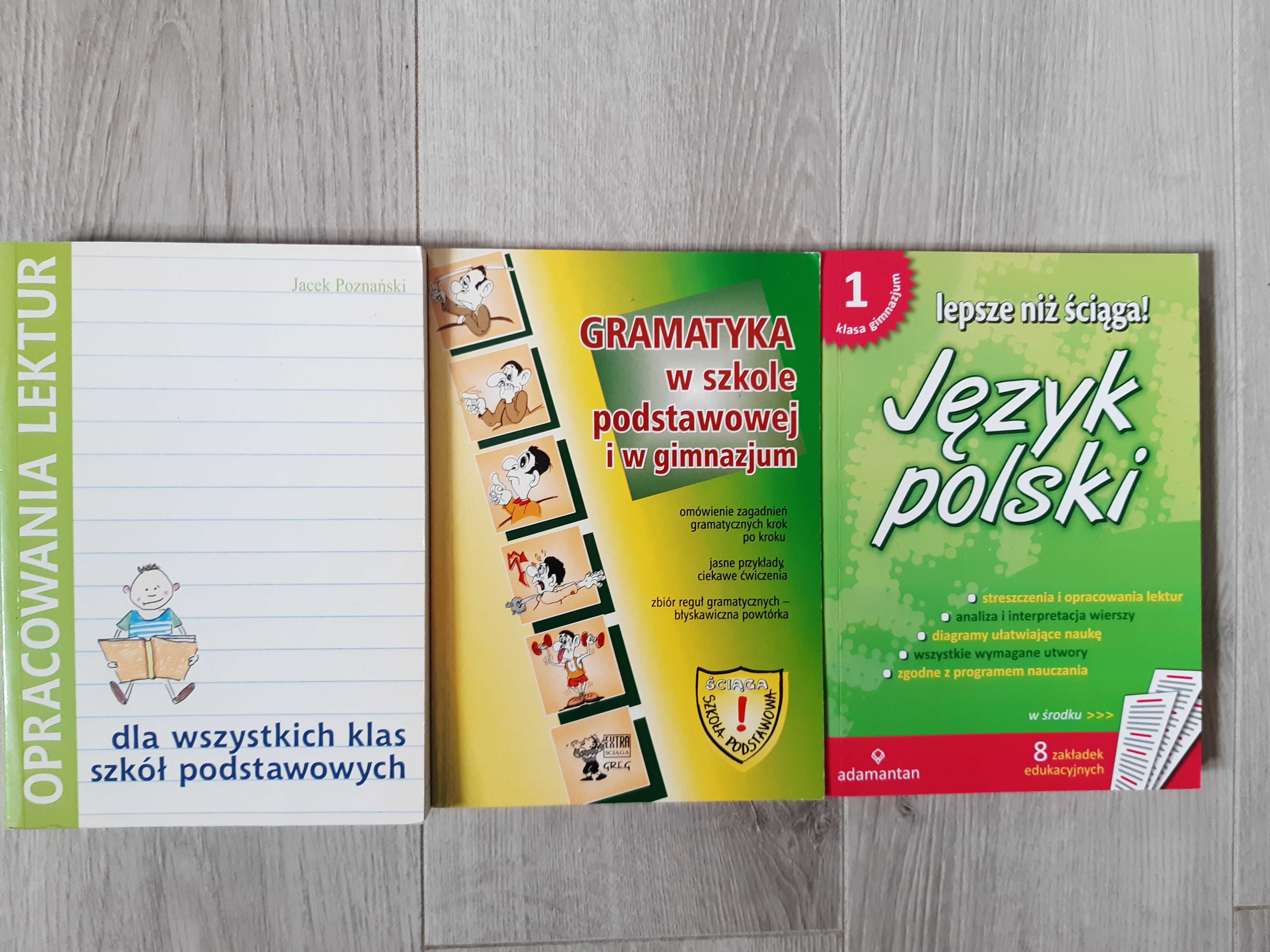 Język Polski- opracowania lektur i gramatyka szkoły podstawowej i gim.