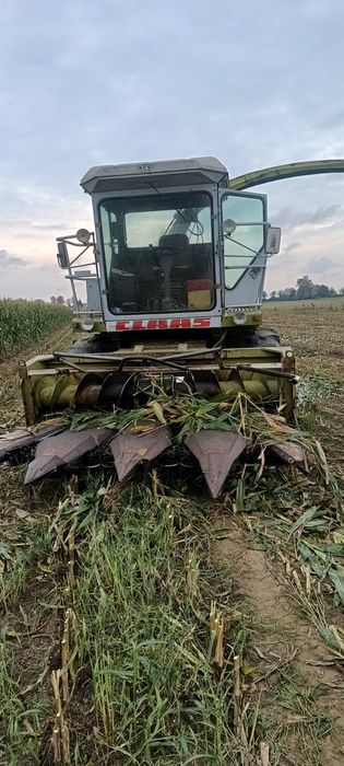 Sieczkarnia Claas jaguar 680 ( 690 685 sl 695 nie sl)