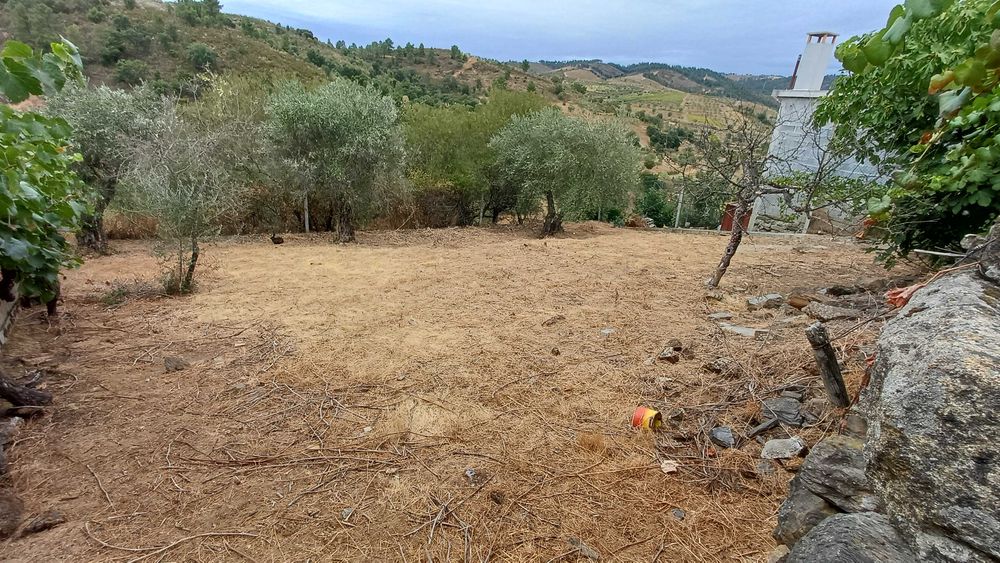 Moradia para reabilitar Aldeia de Milhais