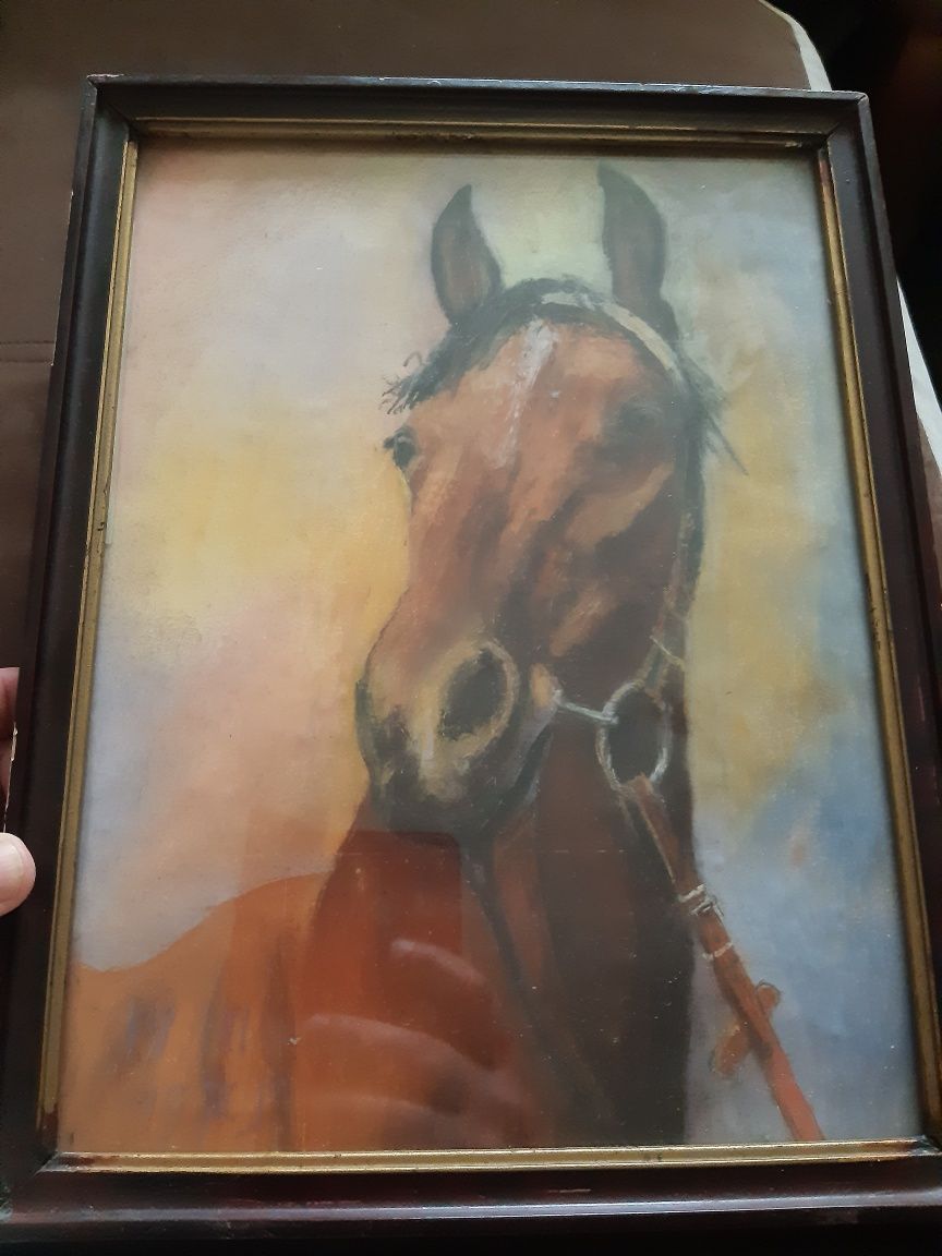 Obraz pastel koń