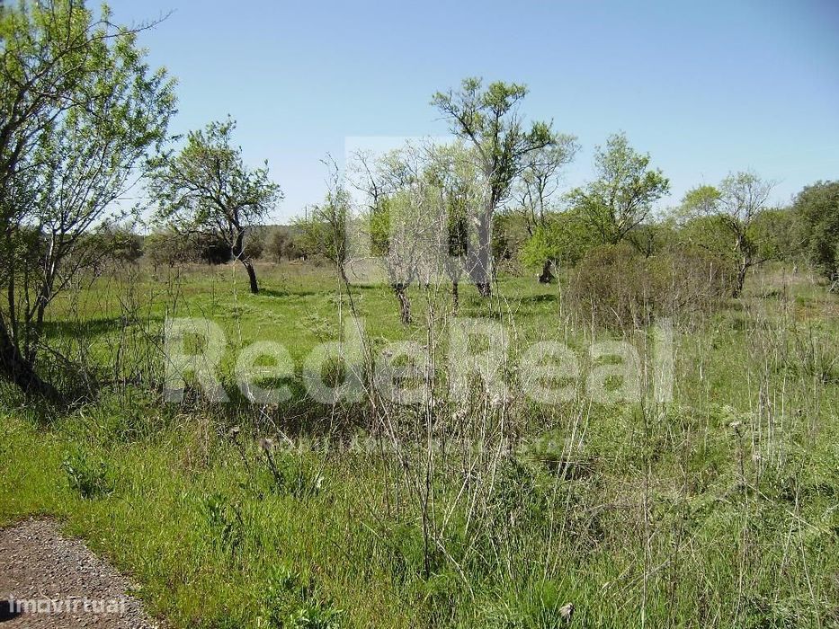 Terreno Rústico Para Venda, Loulé, Algarve