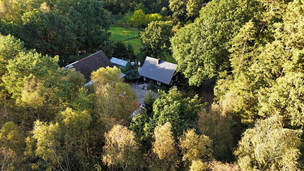 Domek w środku lasu! Na wynajem!