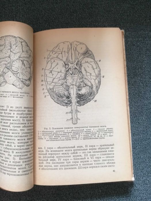 Г. Морозов, В. Ромасенко "Нервные и психические болезни"