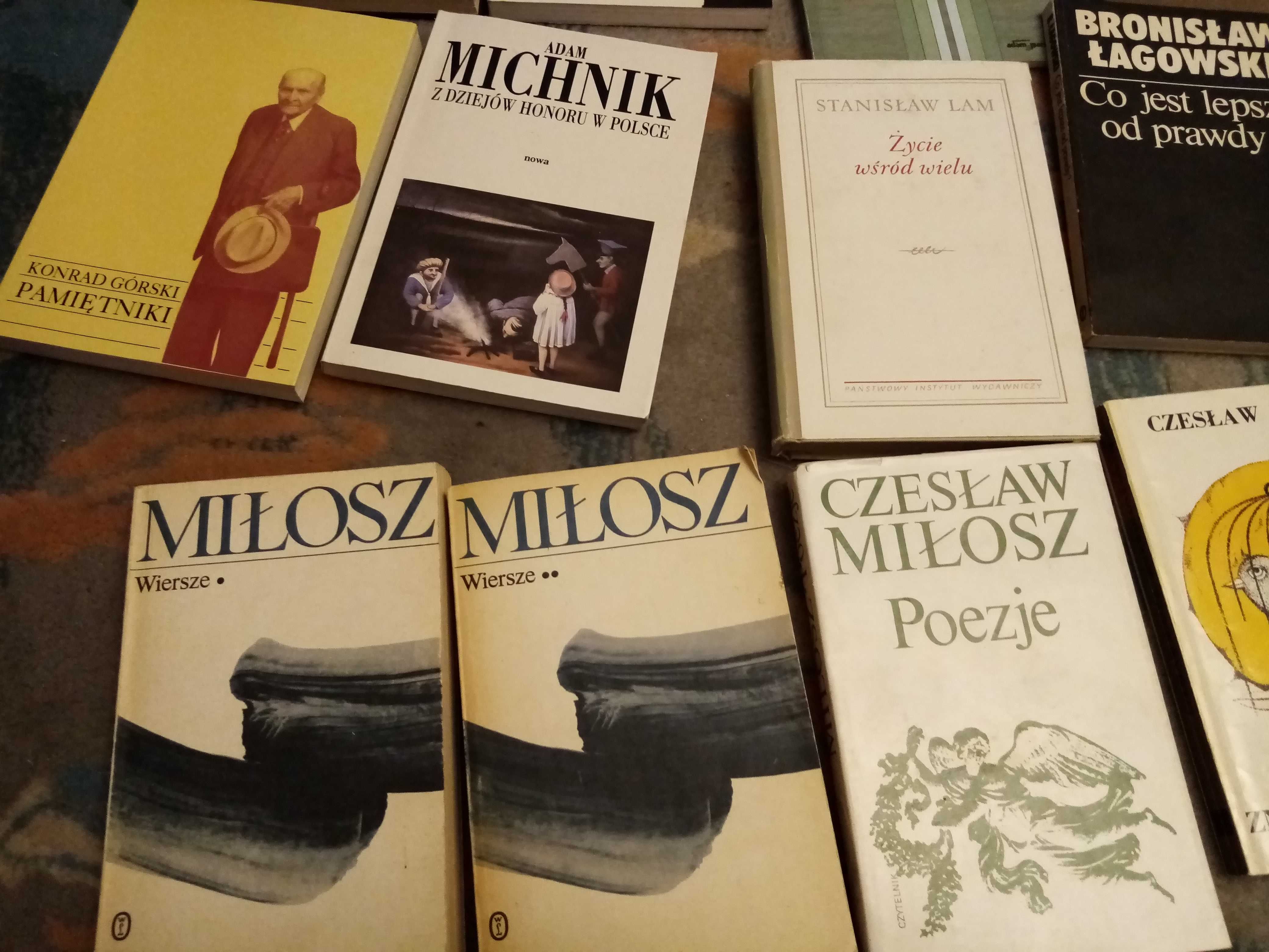 27 książek bibl. intelektualisty MIchnik Miłosz kłoczowski Łobodowski