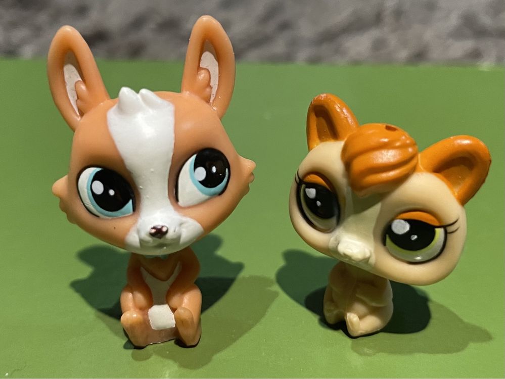 LPS Littlest Pet Shop oryginalne figurki: Zestaw psy i koty