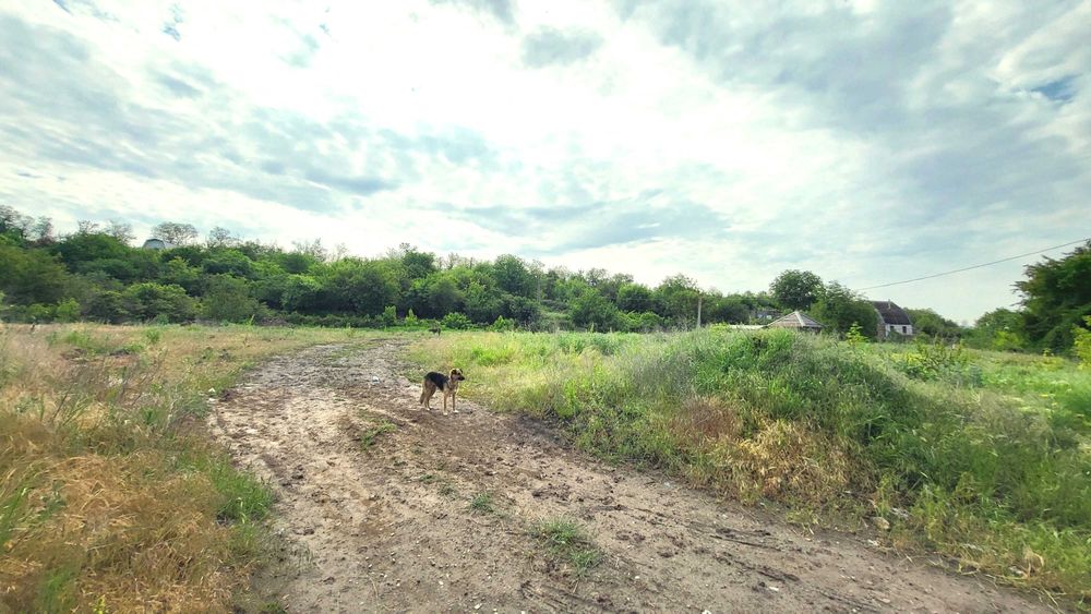 Продаж земельної делянки (11 соток) з ОЗЕРОМ вул. Сонячна.