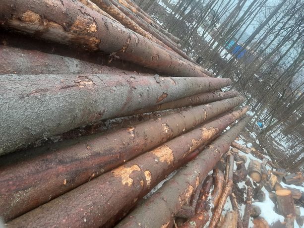 Drewno swierk posusz długości 12m

Różne długości

Drewno ze Słowacji