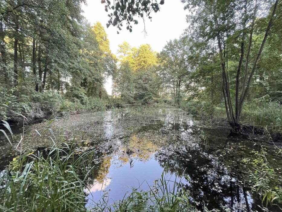 Sprzedam działkę– Józefowo, Gmina Słupca