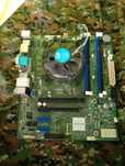 Płyta główna Fujitsu D3402-B11 GS 3 można zamiane