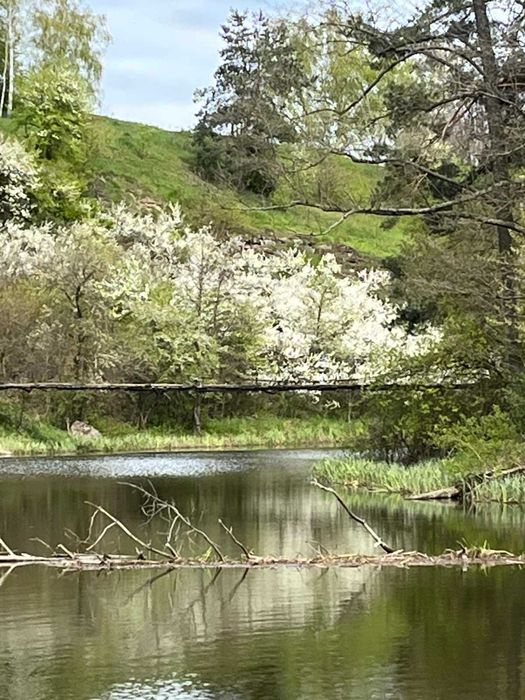 Будинок з виходом до рiчки