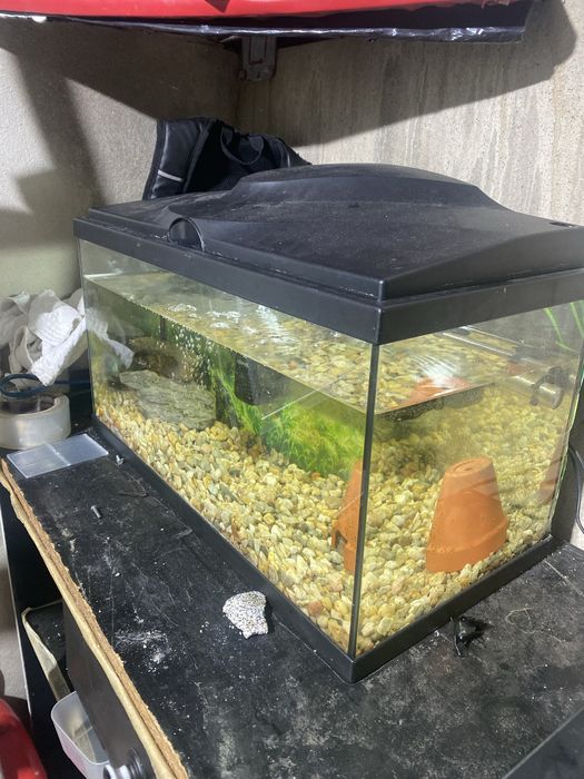 Aquario 60 litros