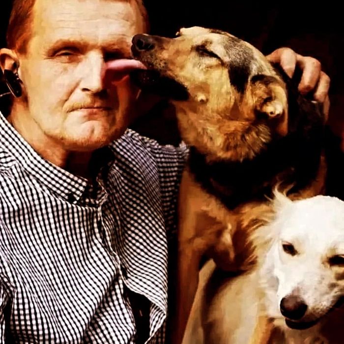 Віддам у Добрі руки