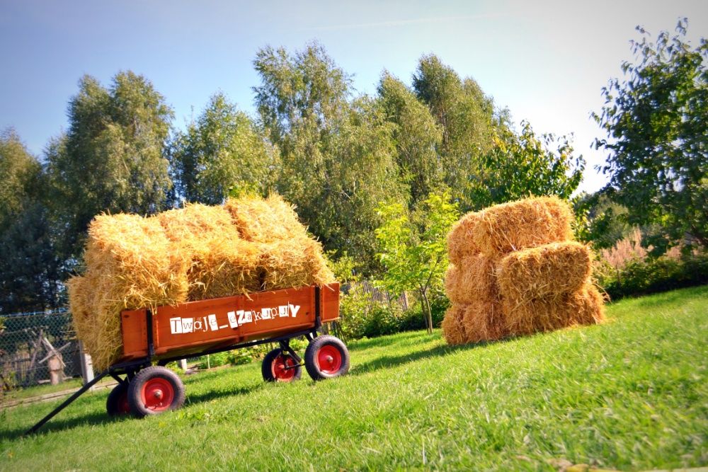 Słoma w kostkach 2023!! (Snopek) Tegoroczne Wysyłka, Możliwy Transport