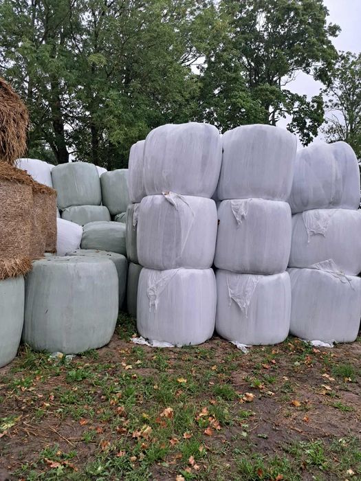 Bele, sianokiszonka, mieszanka traw