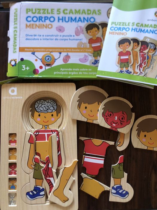 Puzzle 5 camadas Corpo Humano
