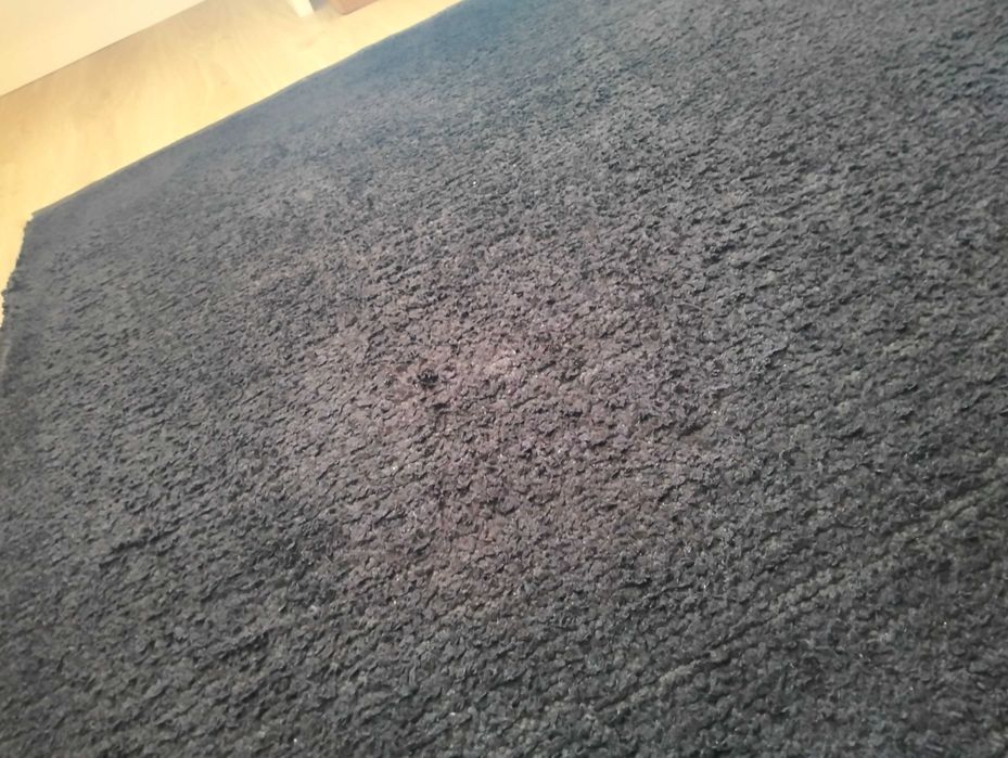 Tapete preto pêlo curto