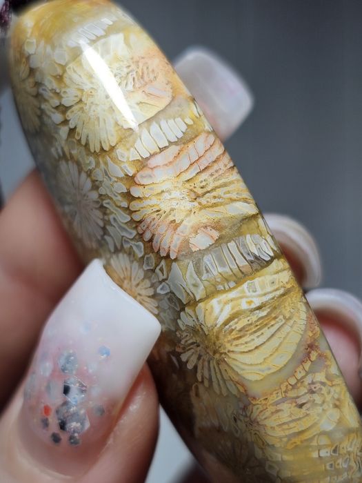 Koral kopalny naturalny.