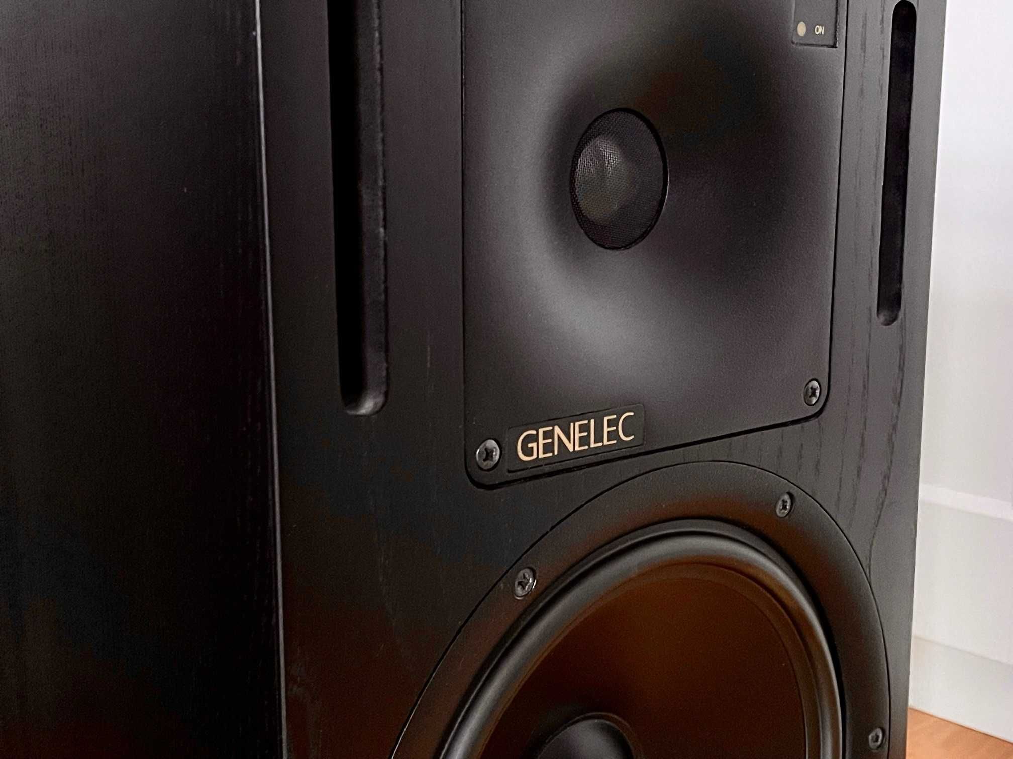 Monitory studyjne GENELEC 1031A