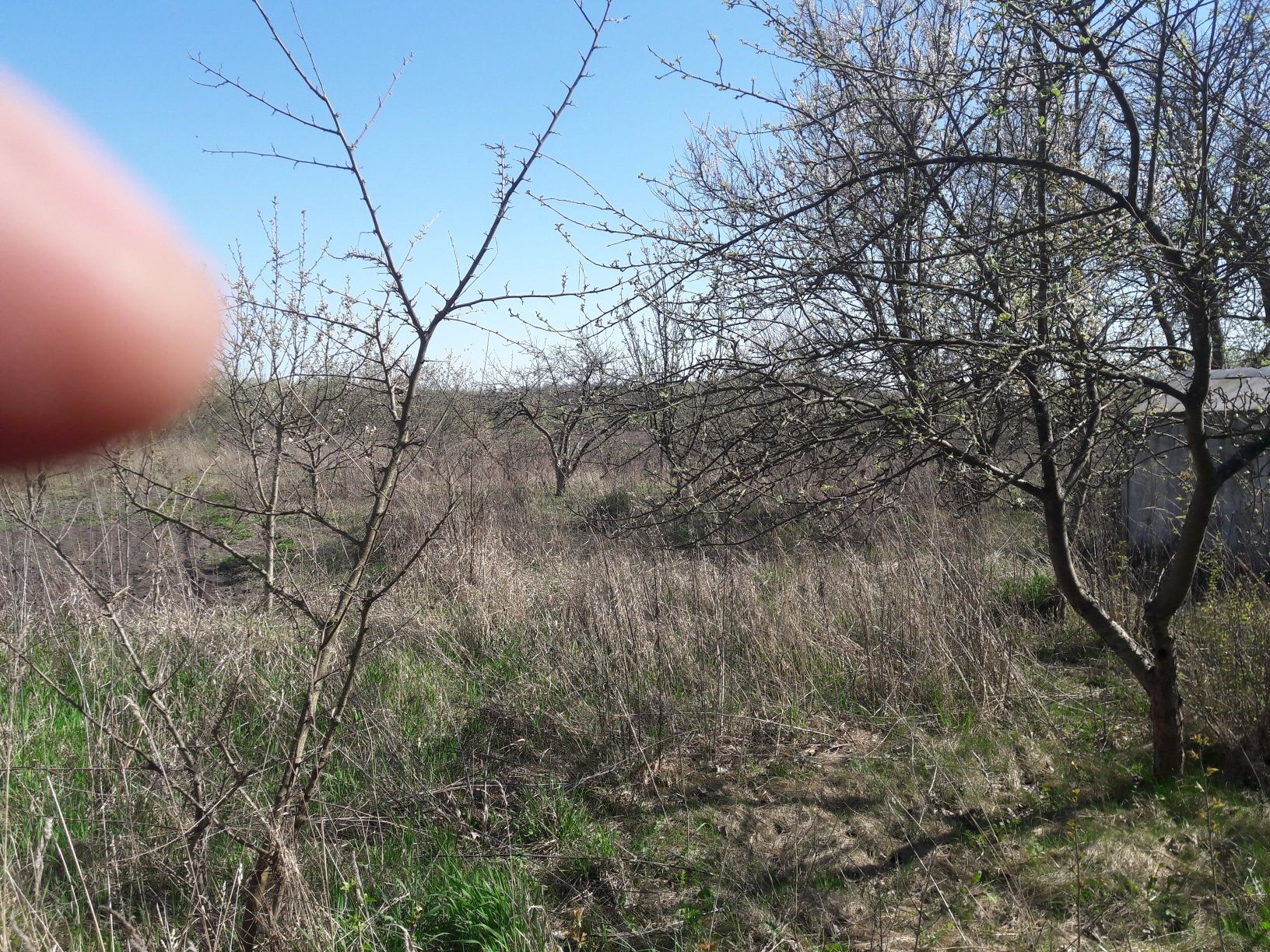 Продам дачну ділянку з гаражем