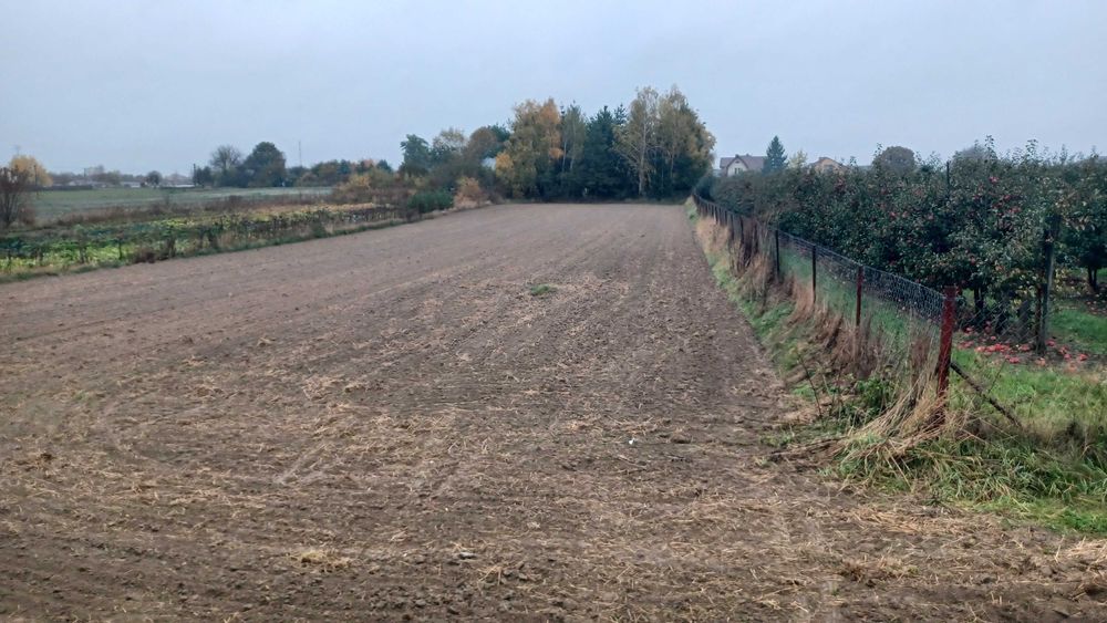 Działka budowlana Nowogród