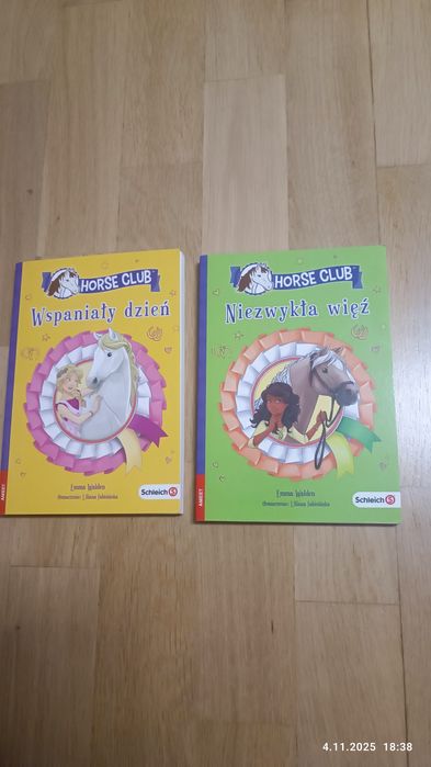 2 książki Horse Club , Wspaniały dzień, Niezwykła więź