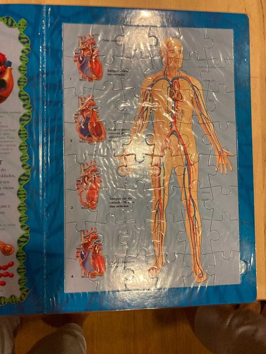 Livro puzzle anatomia corpo humano contem varios puzzles por abrirl.