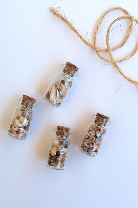 Conjunto 4 frascos conchas e buzios