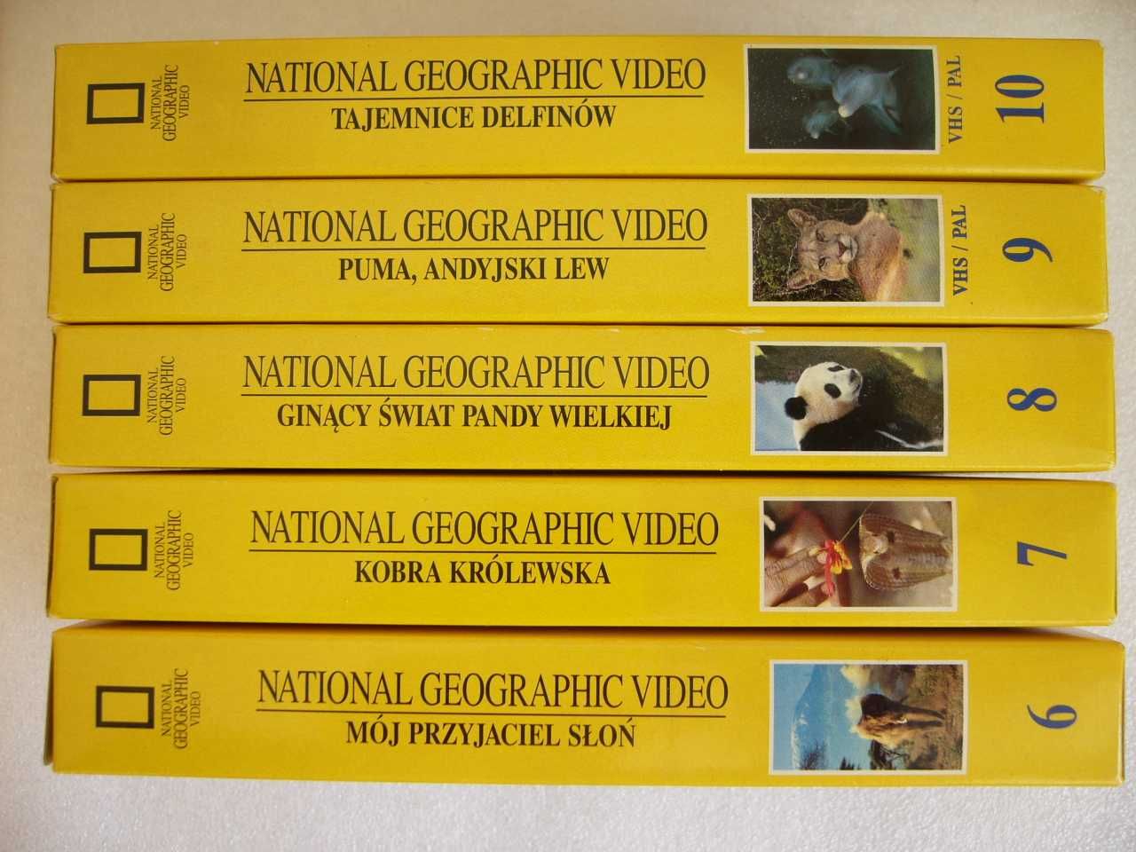 Kasety VHS National Geographic 25 sztuk