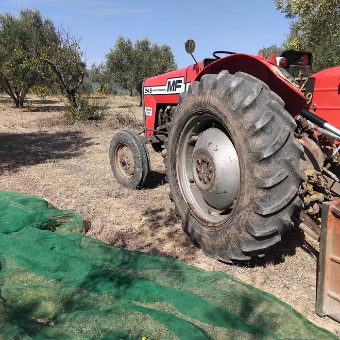 Trator  Massey Ferguson  245