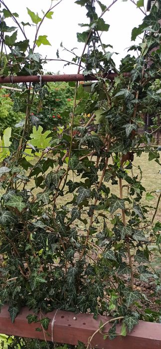 Продам будинок на селищі Залізничному