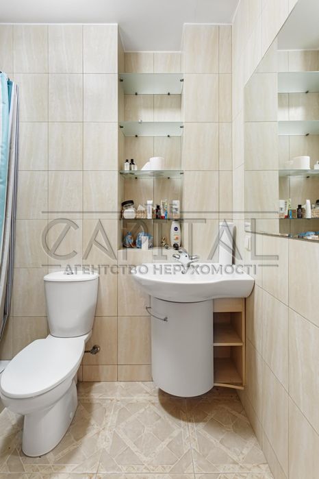 Продаж будинку, Хлепча, Васильківський