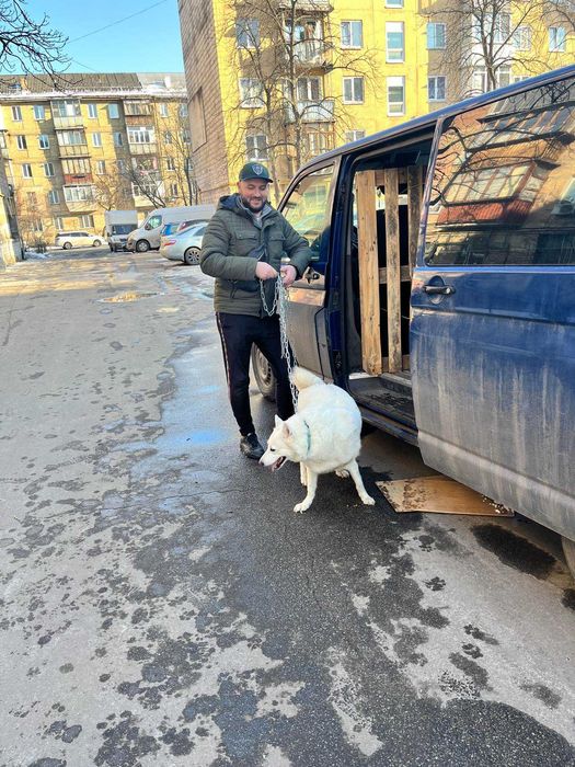 Перевозка пассажиров, ЖИВОТНЫХ, небольших грузов