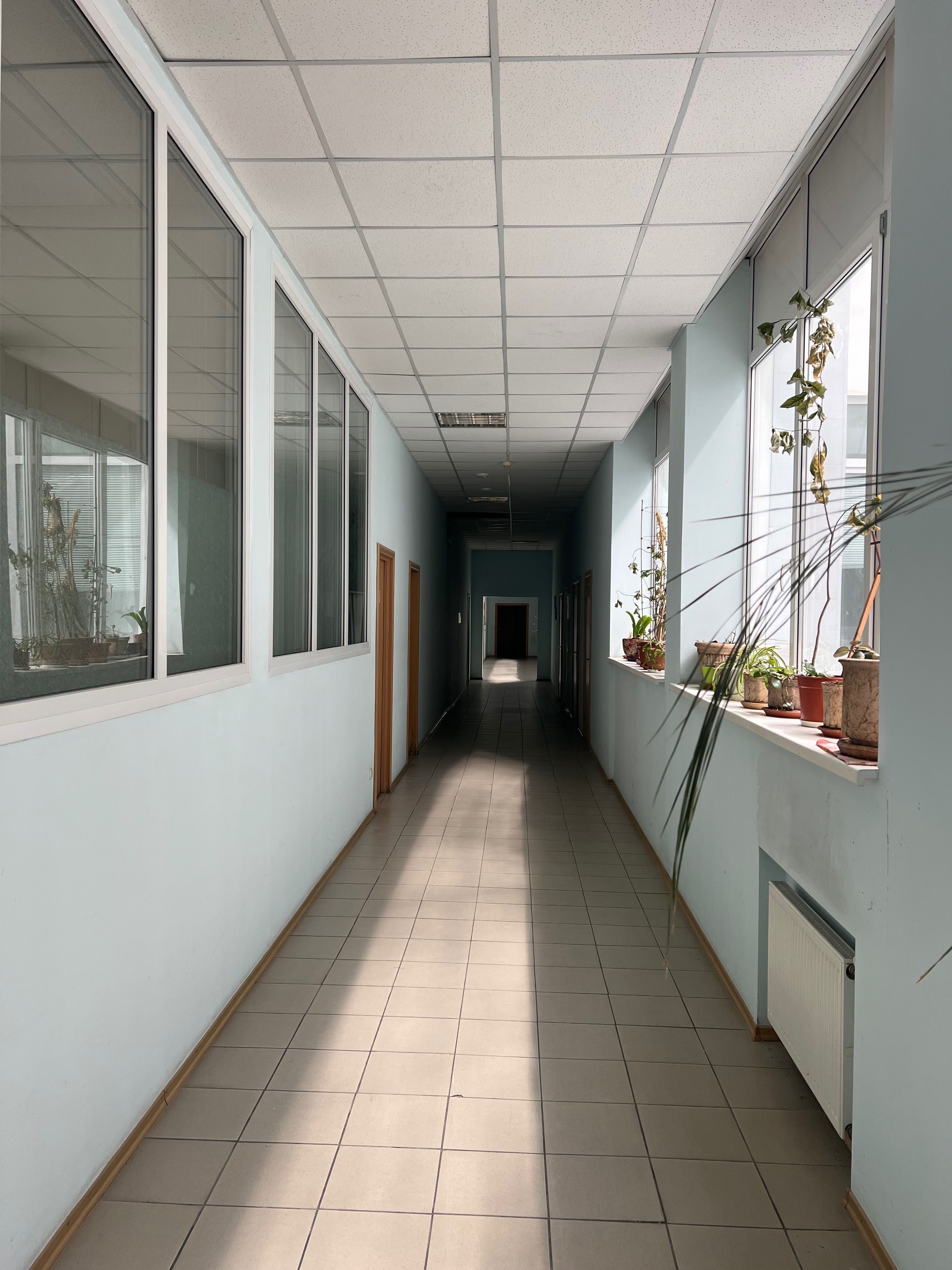 Офісні приміщення в оренду в БЦ Колізей, від 14 кв.м   БЕЗ КОМІСІЇ!