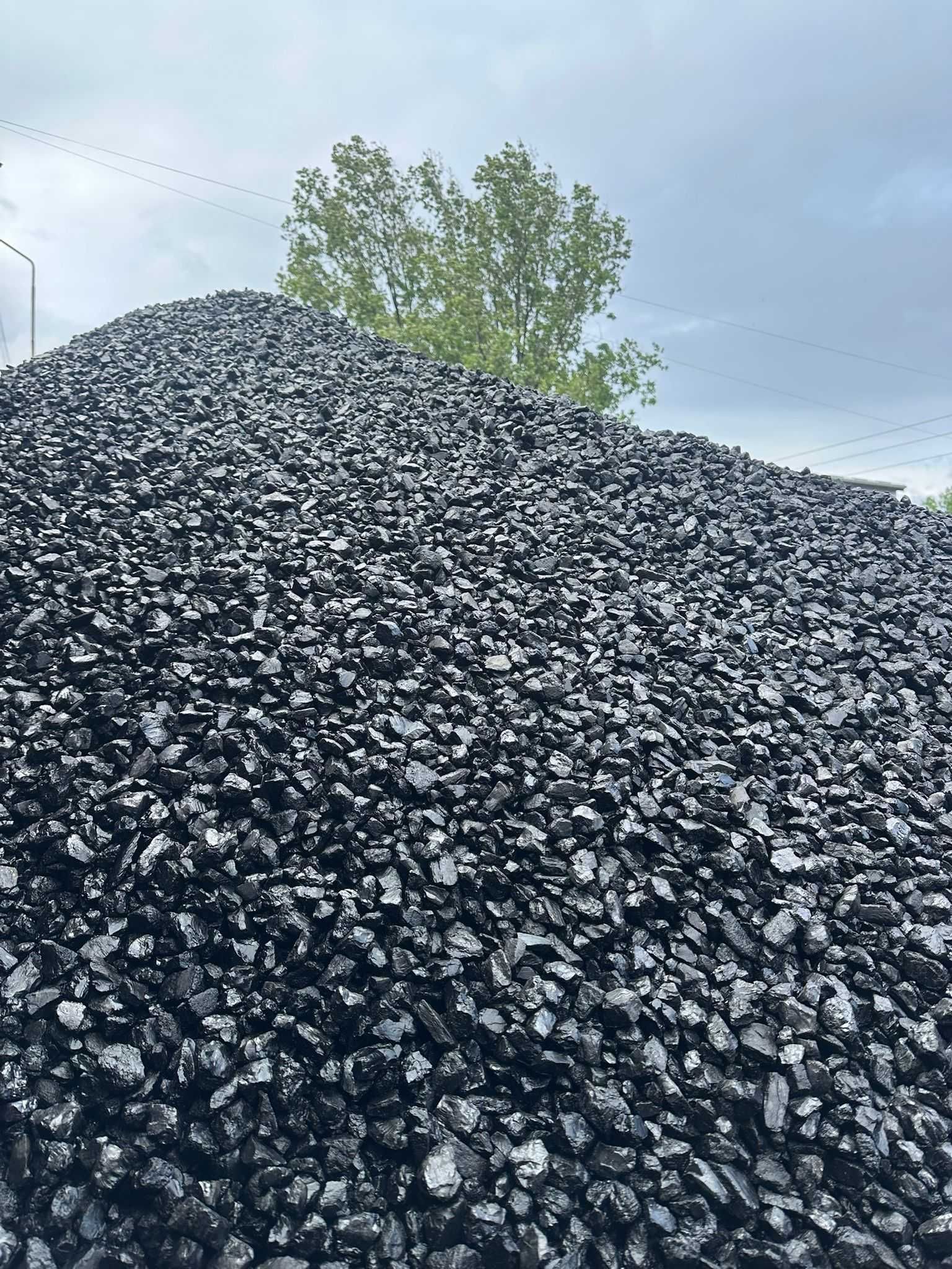 Ekogroszek Premium 8-25mm 27MJ/kg Popiół 3% 0 Spieków 1000 zł/t