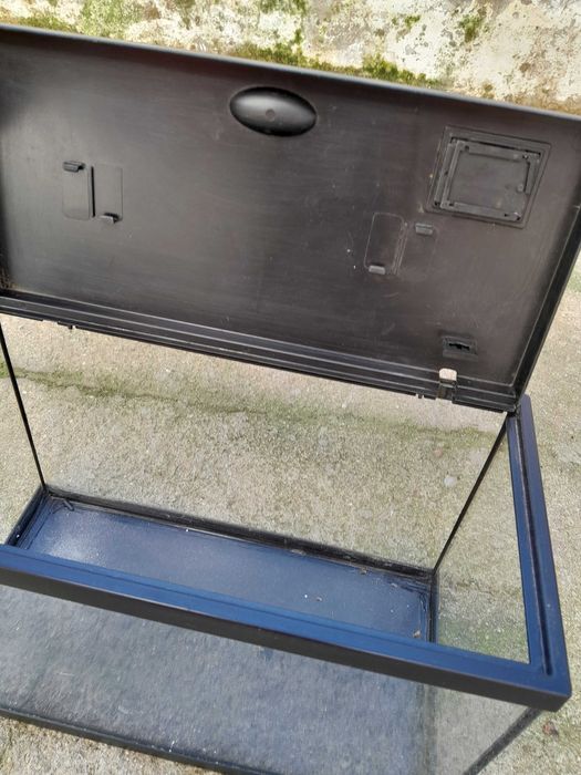 Aquario pequeno em vidro