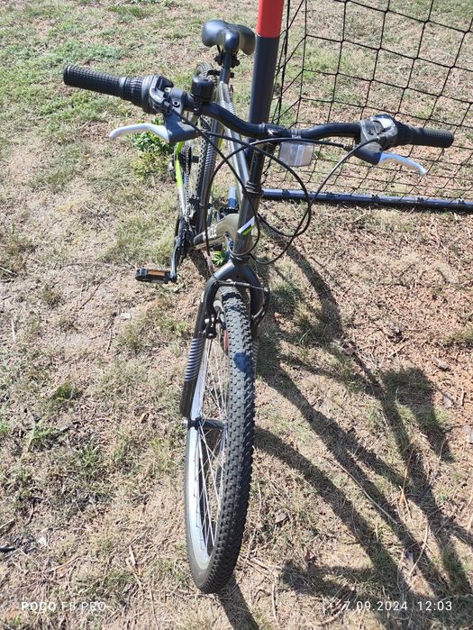 Rower męski Triacle