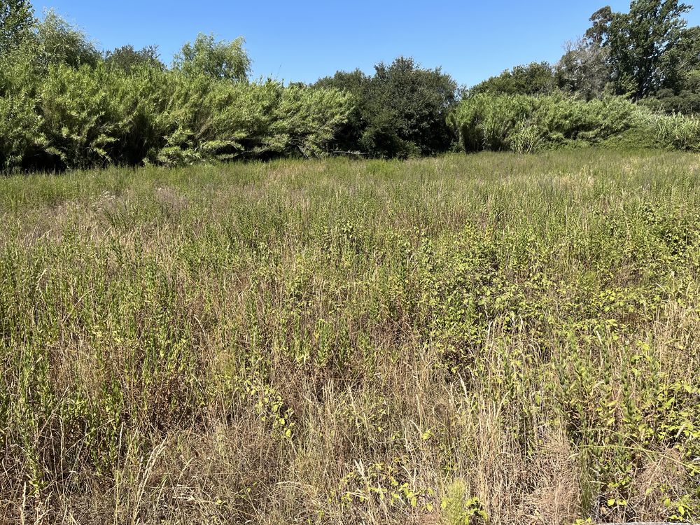 Quintinha com 7000 2m em a 77 km de Lisboa Arrouquelas concelho de Rio Maior