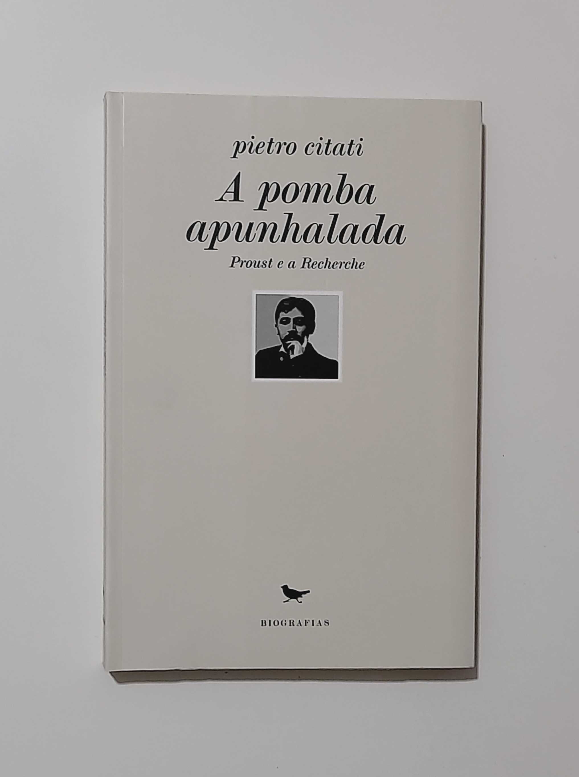 A Pomba Apunhalada - Pietro Citati