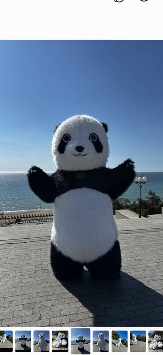 Панда купить пневмокостюм медведя, мишка панда  аниматор купить