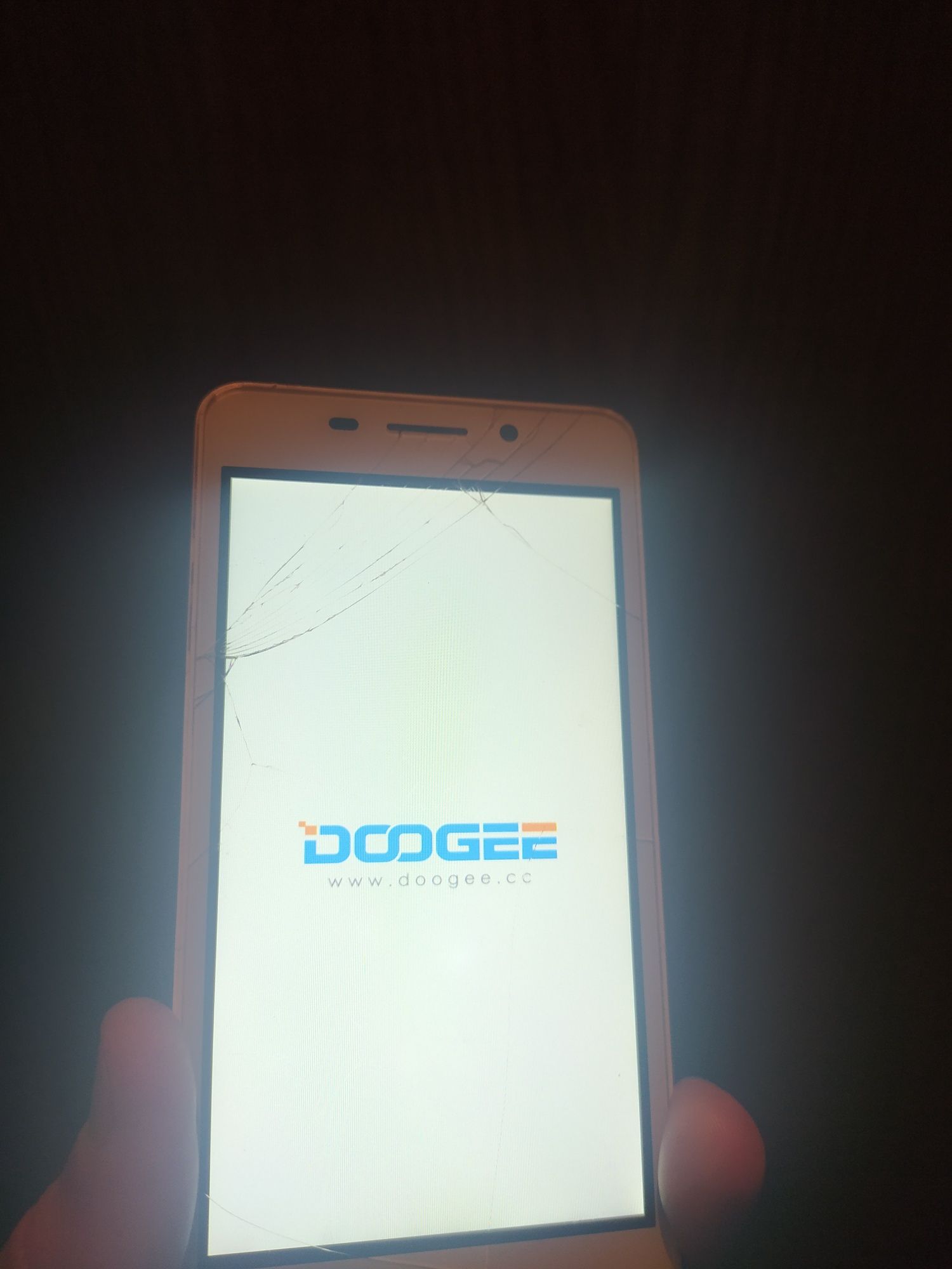 Doogee Leo DG280 На запчасти